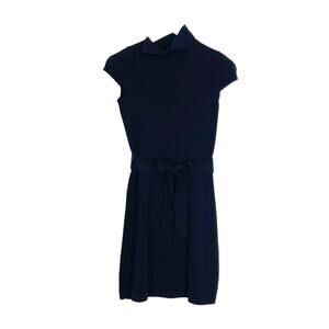 Banana Republic Extra Fine Merino Wool Turtleneck Dress